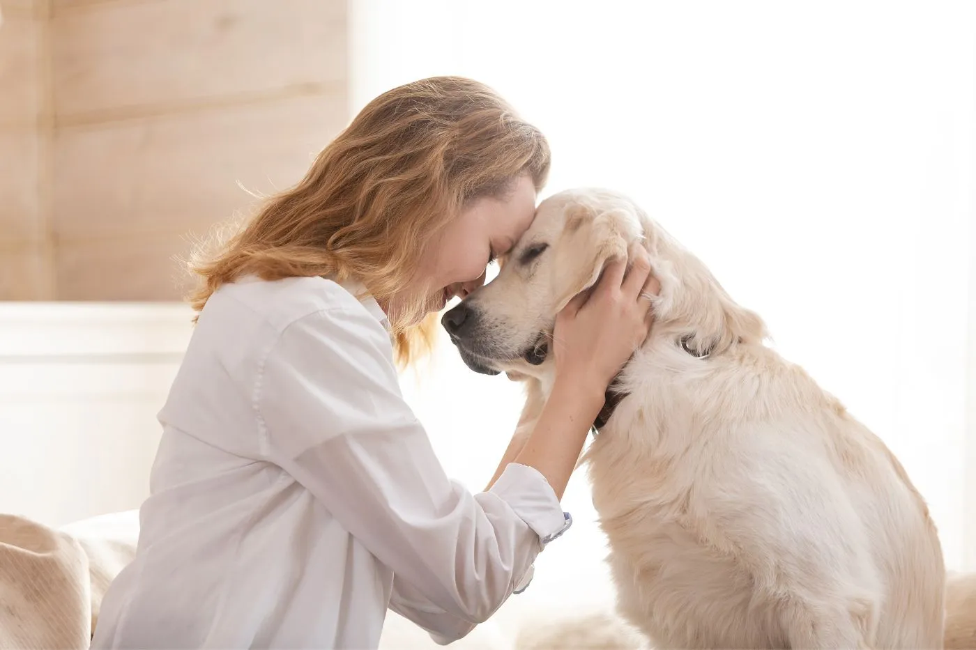 Cómo elegir la mejor clínica veterinaria para tu mascota con Musky