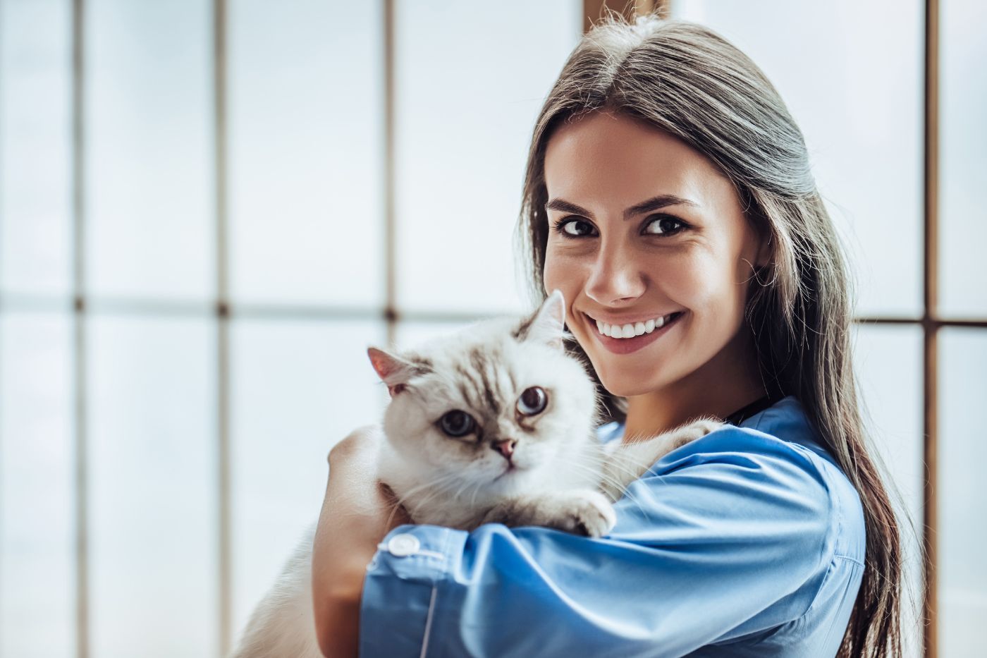 La importancia en la prevención de un seguro de salud para mascotas La importancia en la prevención de un seguro de salud para mascotas